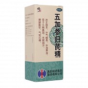 修正 五加参归芪精 100ml