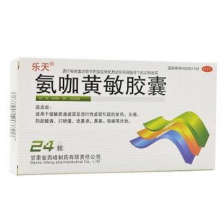 乐天 氨咖黄敏胶囊 24粒