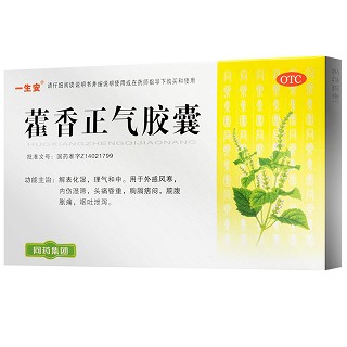 一生安 藿香正气胶囊 0.3g*12粒