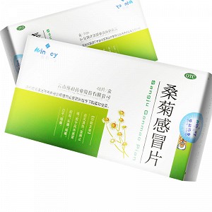 维和 桑菊感冒片 48片