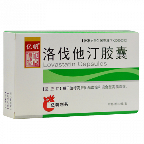 亿帆洛伐他汀胶囊20mg12粒2板
