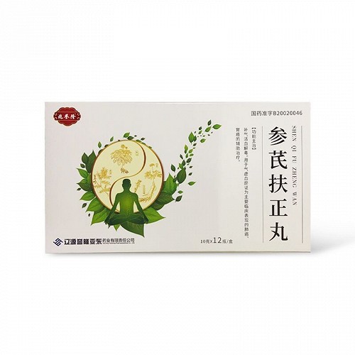 兆譽隆 參芪扶正丸 10g*12瓶