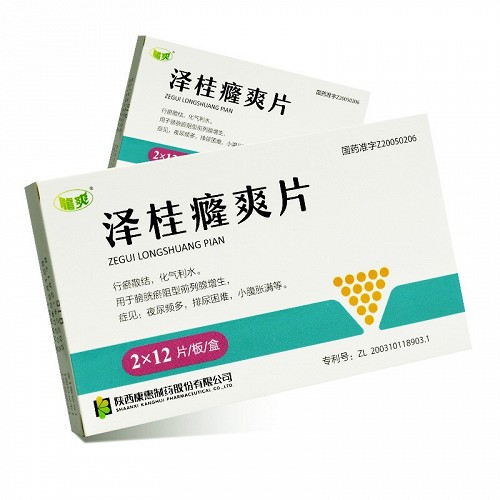 龙爽 泽桂癃爽片 0.5g*12片*2板