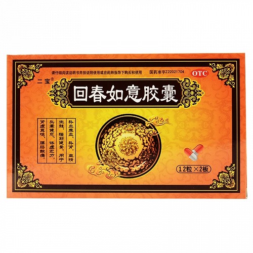 二宝 回春如意胶囊 0.25g*12粒*2板