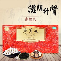 强身 参茸丸 10g*10丸