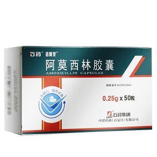 石药 阿莫西林胶囊 0.25g*10粒*5板