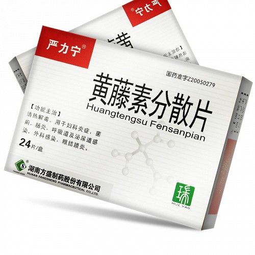 严力宁黄藤素分散片100mg24片