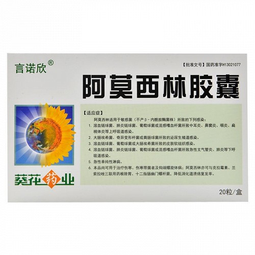 言諾欣阿莫西林膠囊025g20粒