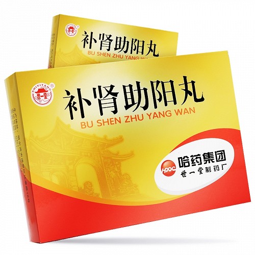 世一堂 补肾助阳丸 9g*10丸用法用量