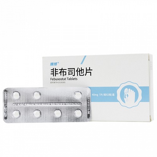 瑞扬非布司他片40mg14片