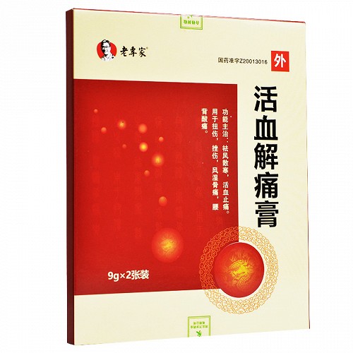 老专家活血解痛膏9g2张