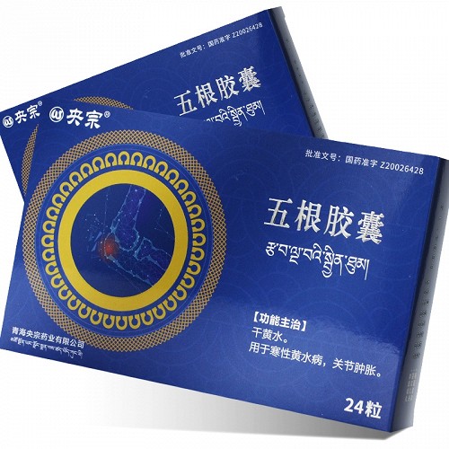 央宗五根胶囊每粒装03克24粒盒