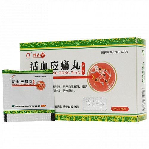 丹龙 活血应痛丸 2g*10袋