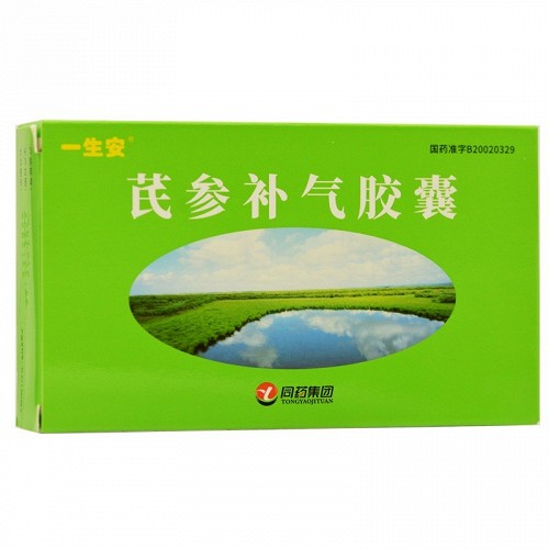 一生安 芪参补气胶囊 0.3g*36粒 