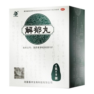 康祺 解郁丸 4g*9袋
