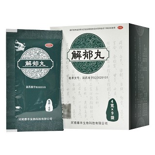 康祺 解郁丸 4g*9袋