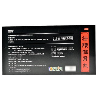 壮腰健肾丸 3.5g*60袋