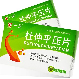 一正 杜仲平压片 300mg*15片*2板