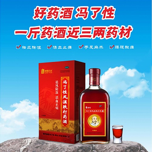 冯了性 冯了性风湿跌打药酒 450ml