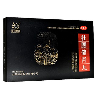 仙河制药 壮腰健肾丸 3.5g*20袋(水蜜丸)