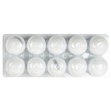 冯了性 加味藿香正气丸 9g*10丸