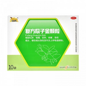 汪氏 复方瓜子金颗粒 10g*10袋