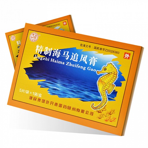 健民精制海马追风膏8cm13cm5片