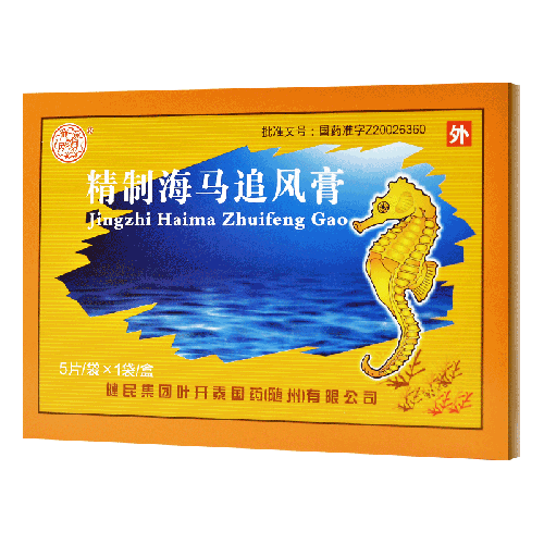 健民精制海马追风膏8cm13cm5片