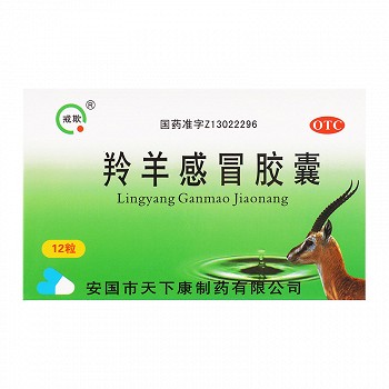 戒欺 羚羊感冒胶囊 0.42g*12粒