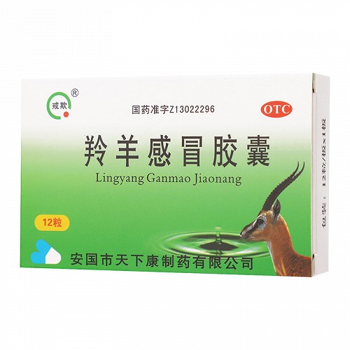 戒欺 羚羊感冒胶囊 0.42g*12粒