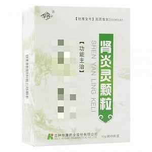 华丹 肾炎灵颗粒 10g*9袋