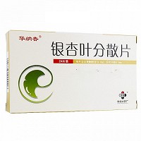 华纳杏 银杏叶分散片 19.2mg:4.8mg*24片