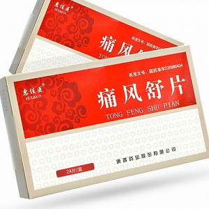 惠佳医 痛风舒片 0.32g*24片