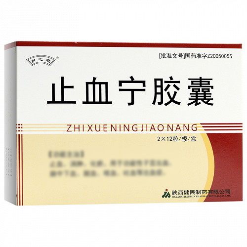 亦芝堂 止血宁胶囊 0.5g*12粒*2板