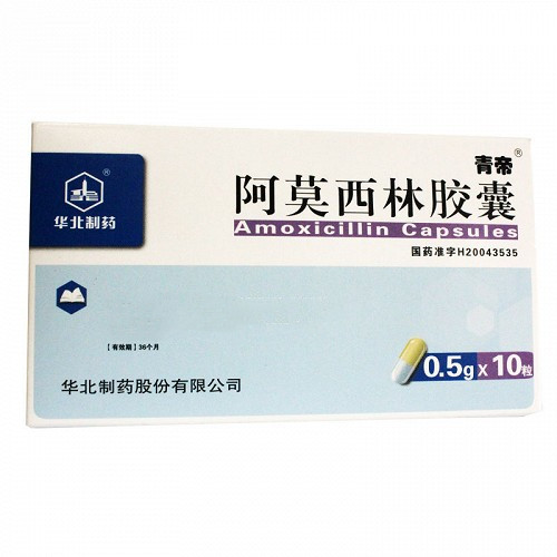 青帝 阿莫西林胶囊 0.5g*10粒