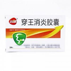 远健 穿王消炎胶囊 0.4g*24粒