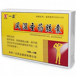 一正 风湿圣药胶囊 0.3g*48粒