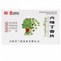 中国药材 六味丁香片 0.5g*24片