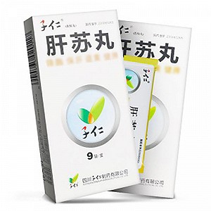 子仁 肝苏丸 2.5g*9袋