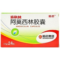 哈药 阿莫西林胶囊 24粒