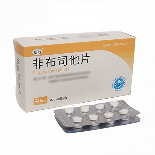 塑效 非布司他片 40mg*8片*5板