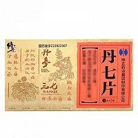 修正 丹七片 0.3g*12片*2板（糖衣片）