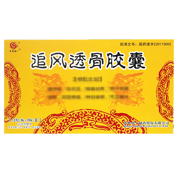 天地恒一 追风透骨胶囊 0.26g*12粒*6板