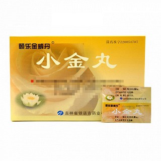 颐乐金威丹 小金丸 1.2g*4袋*2小盒