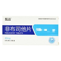 爱力生 非布司他片 40mg*10片*2板