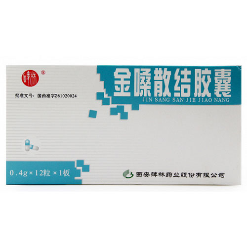 碑林 金嗓散结胶囊 0.4g*12粒