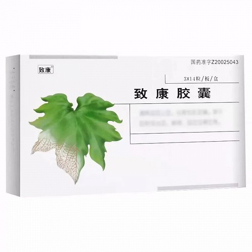 致康 致康胶囊 0.3g*14粒*3板