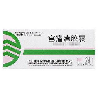 升和 宫瘤清胶囊 0.37g*24粒