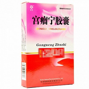 五谷 宫瘤宁胶囊 0.45g*24粒