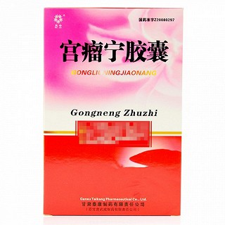 五谷 宫瘤宁胶囊 0.45g*24粒